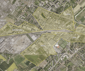 ZIBAT_ZIMOGA_ZDAM_ZIRIAN_Ortho