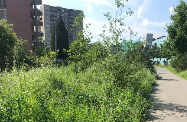 [DÉFI’25 FTI] Terasol – Valoriser les matériaux d’excavation avec Exosol®