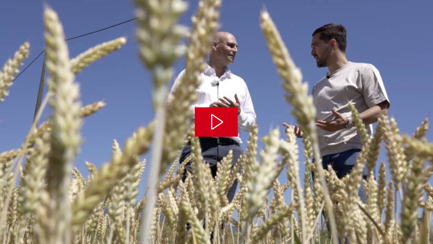 Emission #Le Monde de Demain :  la filière du blé